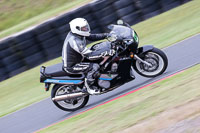 Vintage-motorcycle-club;eventdigitalimages;mallory-park;mallory-park-trackday-photographs;no-limits-trackdays;peter-wileman-photography;trackday-digital-images;trackday-photos;vmcc-festival-1000-bikes-photographs